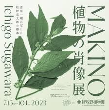 菅原一剛MAKINO 植物の肖像展 の展覧会画像