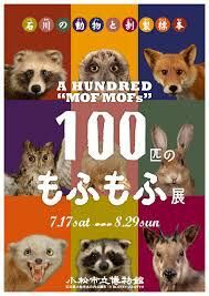 100匹のもふもふ展～石川の動物と剥製標本～ の展覧会画像