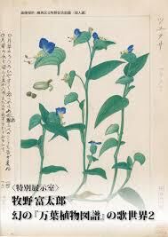 牧野富太郎幻の『万葉植物図譜』の歌世界２ の展覧会画像