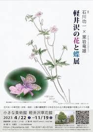軽井沢の花と蝶展 の展覧会画像