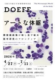 DOEFF アートな体躯 の展覧会画像
