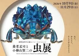 養老孟司と小檜山賢二の虫展～みて、かんじて、そしてかんがえよう の展覧会画像