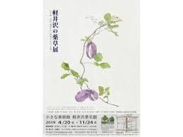 薬効・薬理をもつ植物石川功一の描く軽井沢の薬草展Ⅴ の展覧会画像