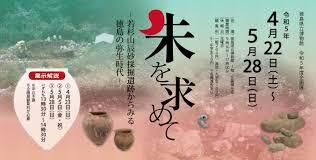 朱を求めて—若杉山辰砂採掘遺跡からみる徳島の弥生時代— の展覧会画像